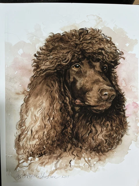 Irish Water Spaniel Limited Print  16/50 By Van Loan head study