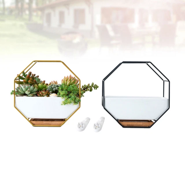 Octagonal Geometric Storage Rack Hanging Wall Glass