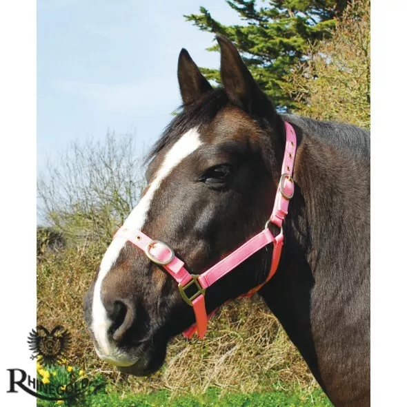 Fully Adjustable Nylon Headcollar by Rhinegold    Various Colours   5 Sizes
