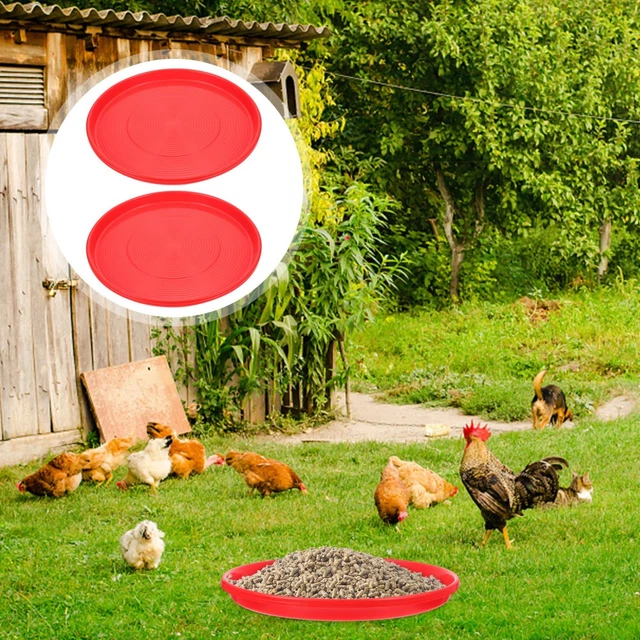 Round Chicken Brooder 2 PCS POULTRY Water Feeder Brooder Plate Feeding Tool Holding Round ...