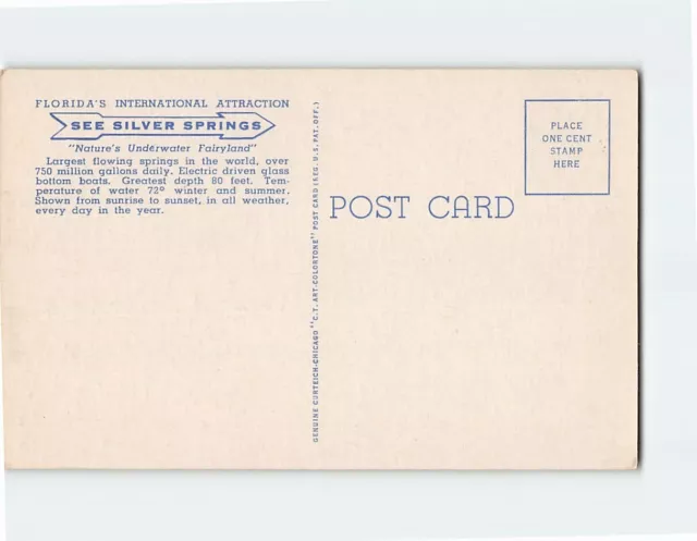 Postcard Airplane View Of Silver Springs, Florida 2