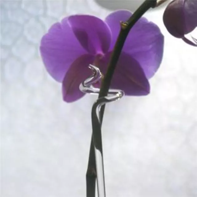 6 Stück Orchideenstab Orchideenhalter aus Glas 40cm Duranglas Top Qualität