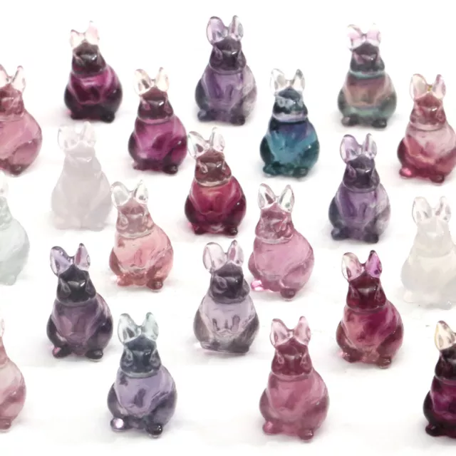 Natural Fluorite Animals Statue Stone Carving Quartz Crystal Healing Reiki Decor