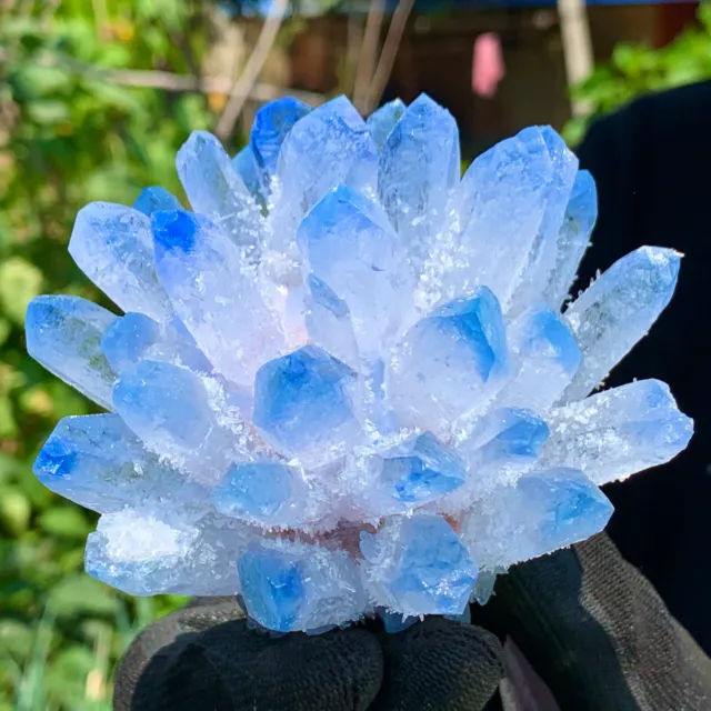 519G  New Find sky blue Phantom Quartz Crystal Cluster Mineral Specimen Healin 2