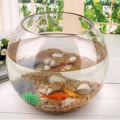 Glass Bowl Transparent  Clear Sphere Vase Fish Tank Jar Wedding Event Display