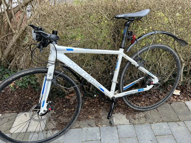 Boardman comp drc 3xb deals