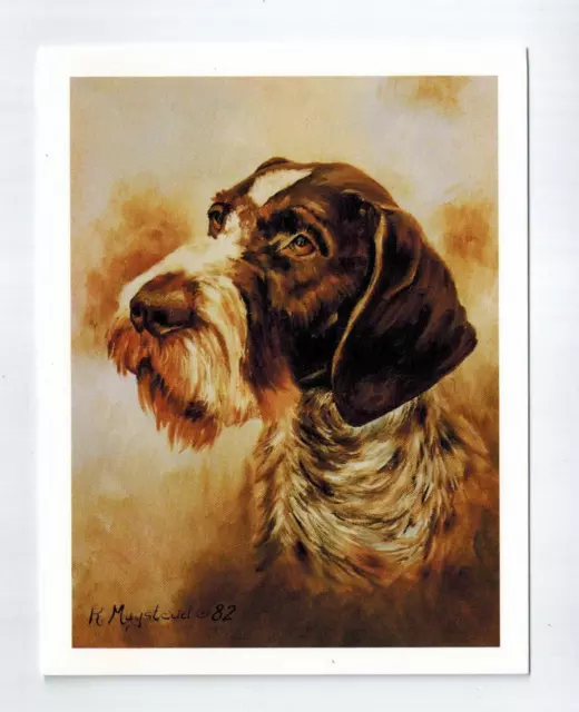New German Wirehaired Pointer Head Notecard Set - 12 Note Cards By Ruth Maystead