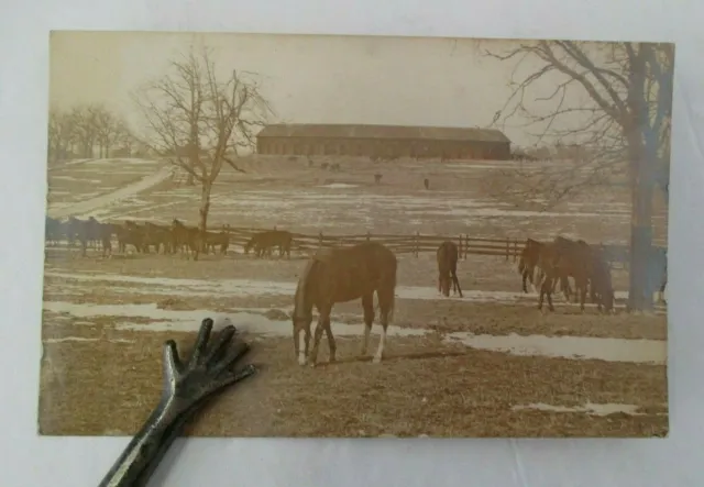 RPPC of ELMENDORF FARM, J.B. Haggin, Famous Kentucky Horse Breeding & Stud Farm