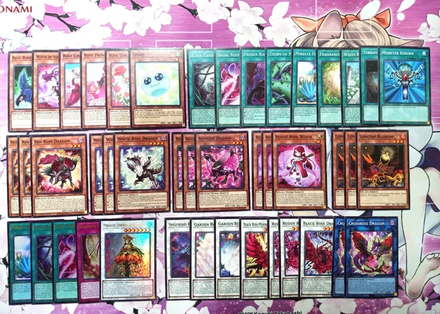 YUGIOH AKIZA 2024 Deck - Garden Rose Maiden - Black Rose Dragon - 44 Cards NM $250.00 - PicClick YUGIOH AKIZA 2024 Deck - Garden Rose Maiden - Black Rose Dragon - 44 Cards NM $250.00 - PicClick