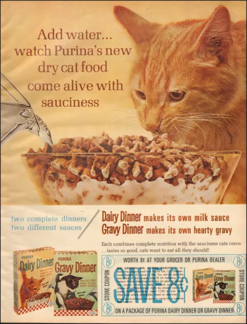 1965 Vintage ad for Purina`Cat Food Photo Orange Tabby Cat (111715)