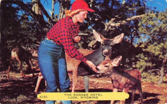 Ranger Hotel Lusk Wyoming Feeding Baby Fawn Deer Vintage 1950s Postcard M05