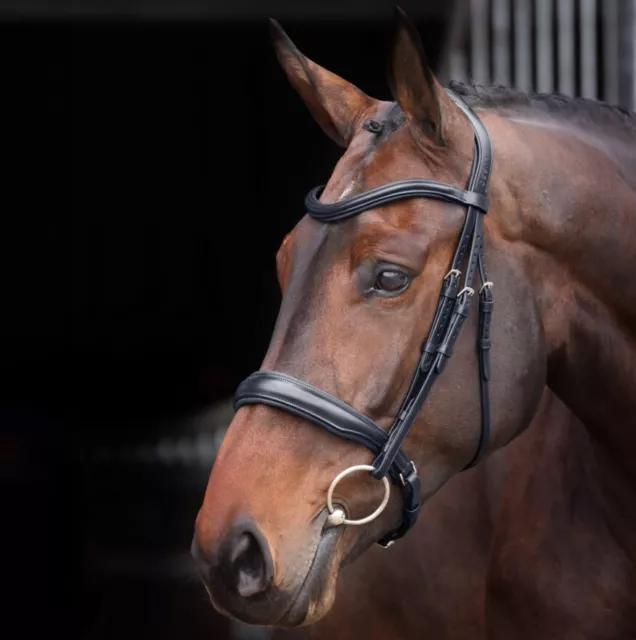 Shires Velociti Lusso Elite Padded Cavesson Bridle, Black &Havana 4 Size (5132)