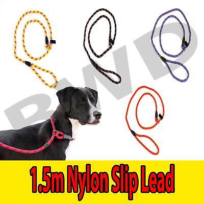 Leash Dog Slip Lead Rope Nylon Collar Training Pet Strap Adjustable Lead