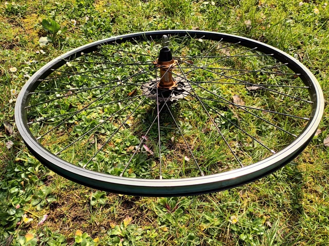 Fahrrad Laufrad 28" Felge Alu Schürmann Hinterrad