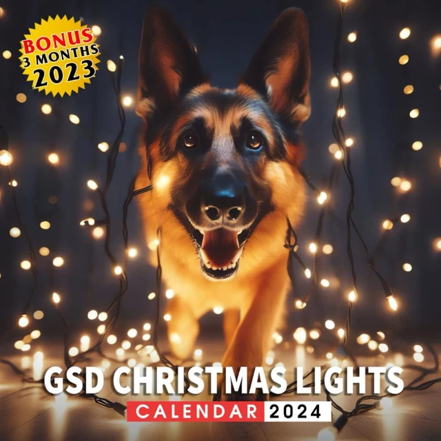 GSD CHRISTMAS LIGHTS Calendar 2024 Jan 2024 to Dec 2024 Bonus 3 Months
