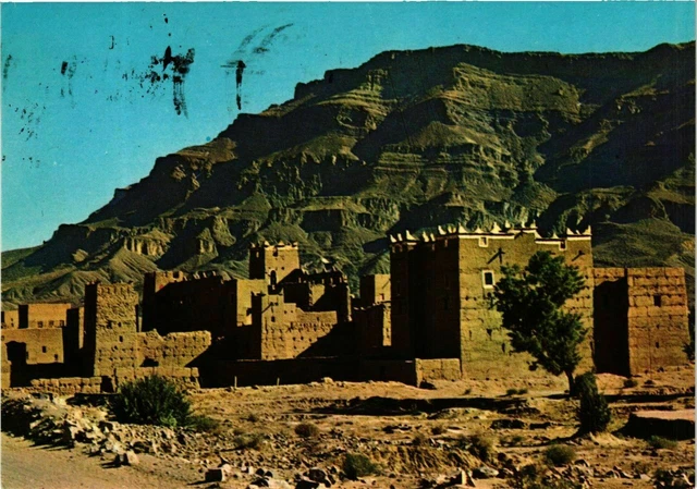 CPM AK Dans la vallee du Draa MAROC (881369)