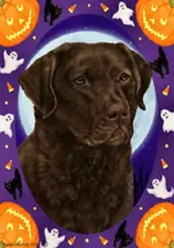 Halloween Garden Flag - Dark Brown Chesapeake Bay Retriever