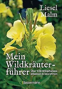 Mein Wildkräuterführer. Über 150 Wildpflanzen sammeln... | Livre | état très bon