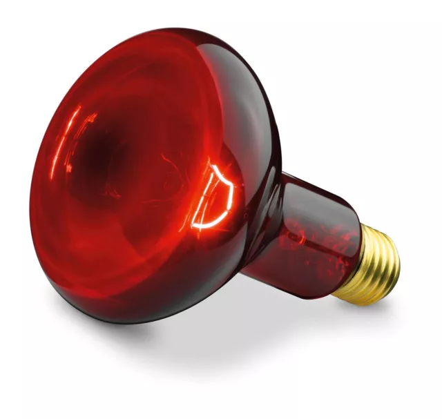Beurer 230V R95 Infrared IR100 100W Replacement Light Bulb