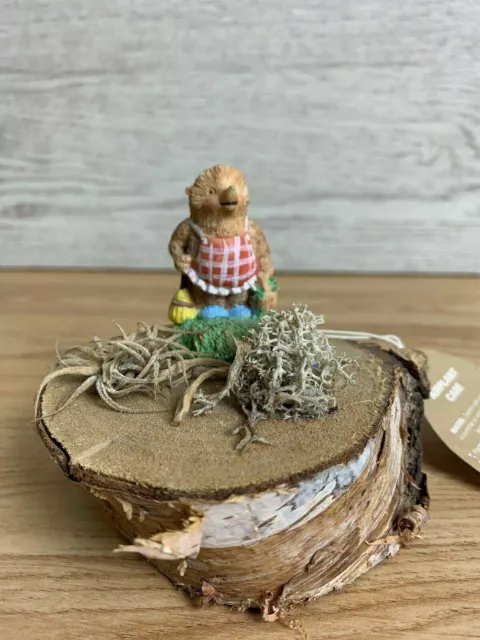 Air Plant Log Slice With Hedgehog Figurine