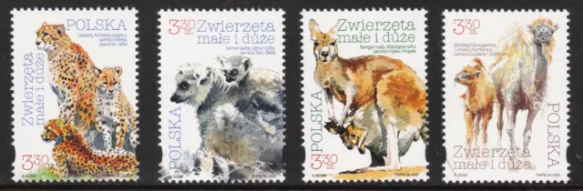 Poland, Fauna, Animals / MNH / 2020