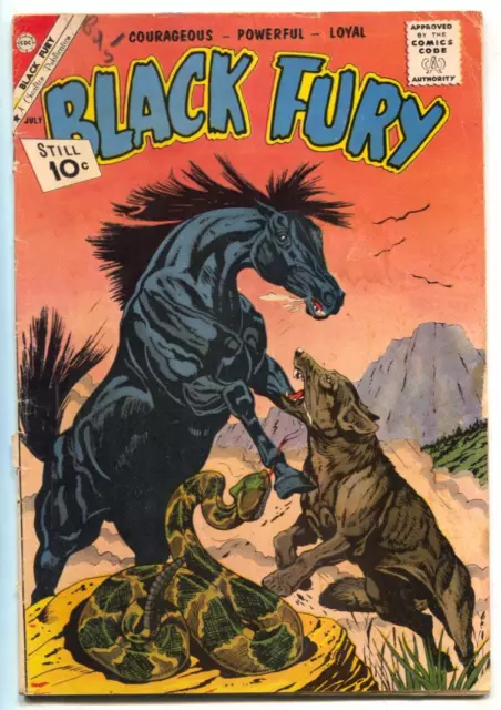 Black Fury #31  1961 - Charlton  -G - Comic Book