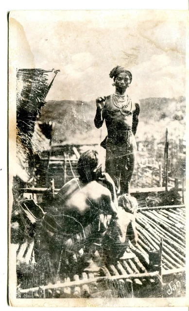 Vietnam Annam Haut Donai Djiring Moi - F. Fleury Paris France published postcard