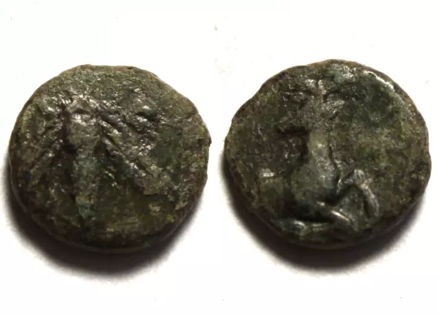 Rare genuine Ancient Greek coin Ephesos, Ionia 387-289 BC E-Φ, bee/stag forepart 3