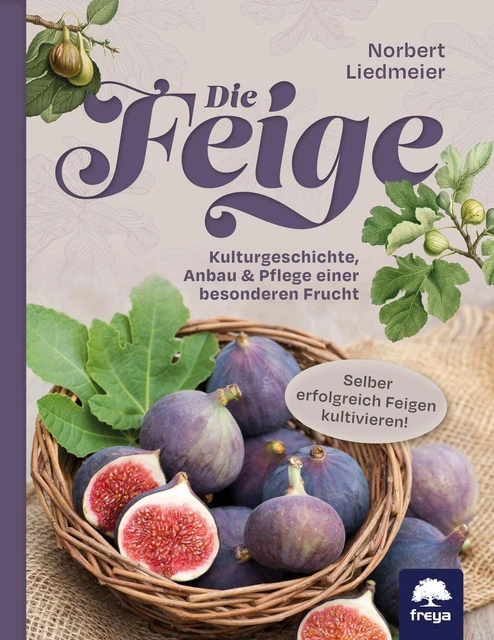 Liedmeier  Norbert. Die Feige. Taschenbuch