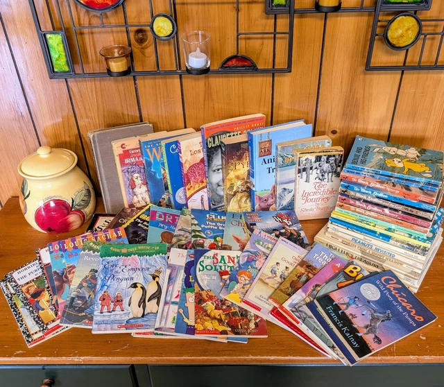LOT OF 53 Childrens Young Kids Chapter Books Instant Library Variety ...