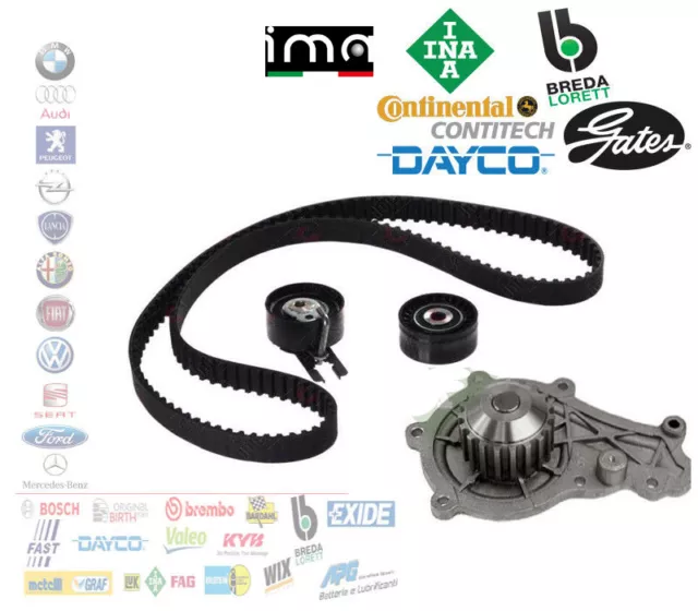 Kit Distribuzione + Pompa Acqua Citroen C2 C3 Fiesta Peugeot 107 206 207 307 1.4