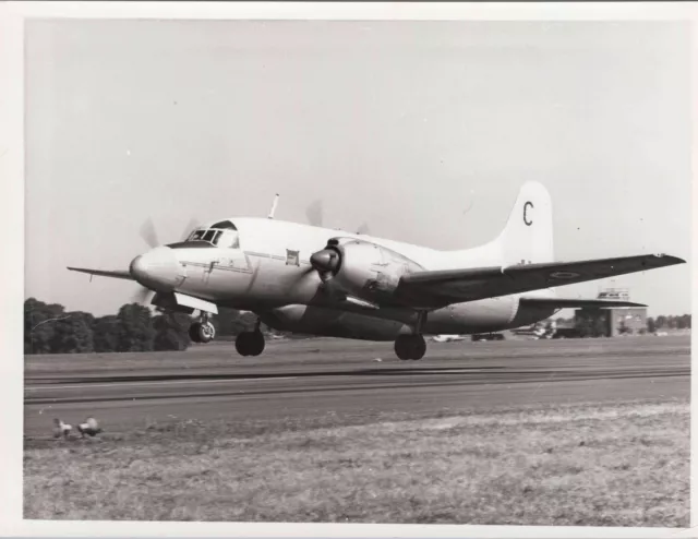 Vickers Varsity Original Vintage Mod Photo Raf Royal Air Force