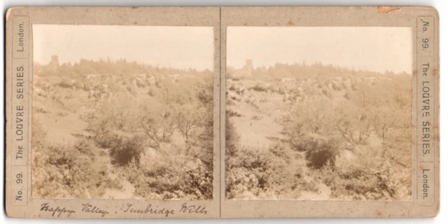 Stereo-Fotografie Fotograf unbekannt, Ansicht Tunbridge Wells, Landschaftspanor
