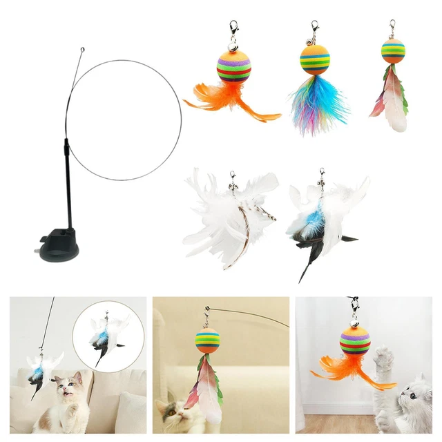 Jouets interactifs pour chat Jouet d'exercice d'entraînement pour chat