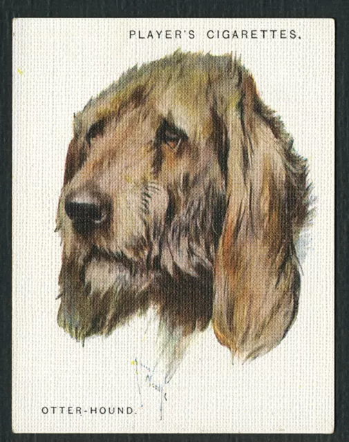 OTTERHOUND PLAYERS 2nd SERIES DOG HEADS BY WARDLE 1929 LRG CIGARETTE CARD #4