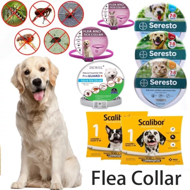 Colliers Anti-Tiques Anti-Puces et Antiparasitaire pour Chiens et Chats