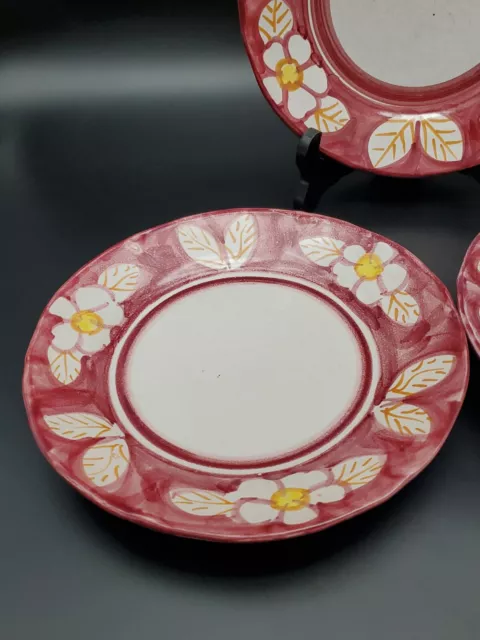 CAS Vietri Italian Pottery Side Plates(3) Hand Made & Painted Red Floral 3