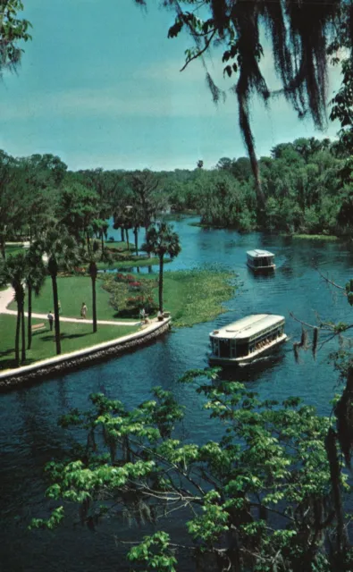 Vintage Postcard Beautiful Silver River Silver Springs Florida Dukane Scenic Pub