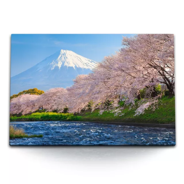 120x80cm Wandbild auf Leinwand Japan Fuji Vulkan Fluss Kirschbäume Kirschblüten