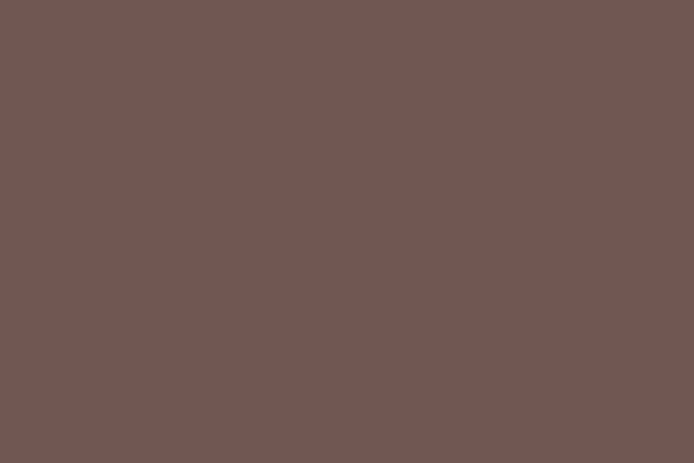 SAA Artists Soft Pastels - Burnt Umber 3