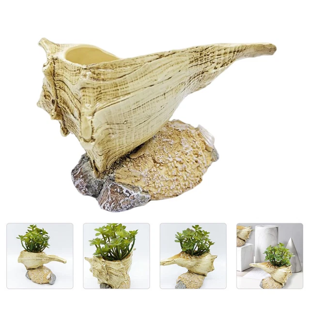 1Pc Conch Topf Moderne Anlage Töpfe Innen Nautischen Pflanzer Töpfe