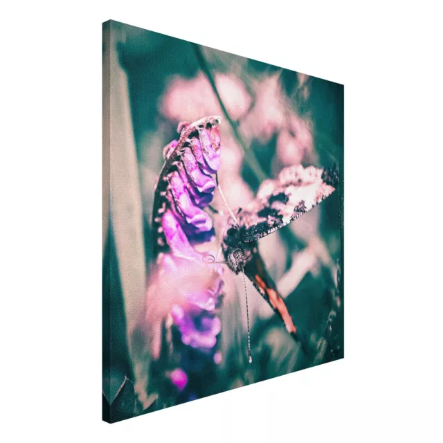 Leinwandbild Wandbild Bild Canvas Schmetterling hängt an Blüte Blume Tier