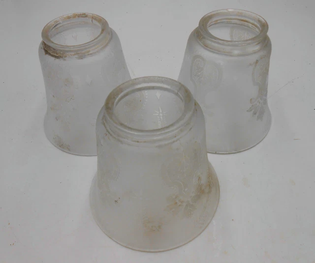 Set Of 3 Matched  2 1/4"  Fitter Etched Glass Floral Gas Lamp Shades