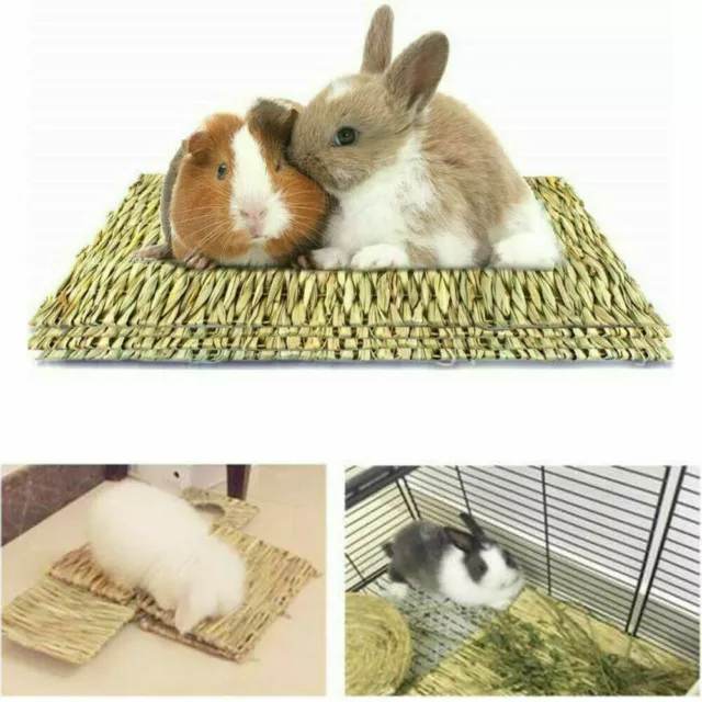 Animal Hamster Grass Chew Mat Breakers Toy Pet Rabbit Rat Guinea Pig House Pad