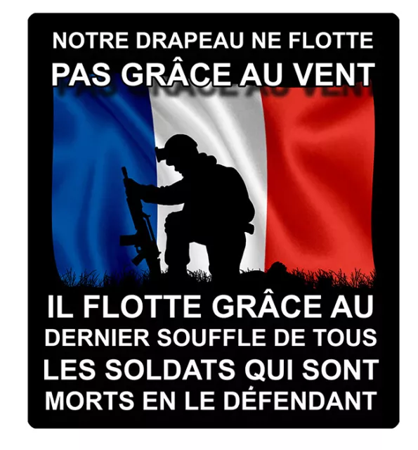 Sticker autocollant FRANCE - Armée de l'air Cocarde tricolore 10 cm