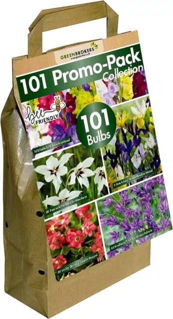 GreenBrokers 101 Promo Pack Collection Summer Flowering Bulbs, 101