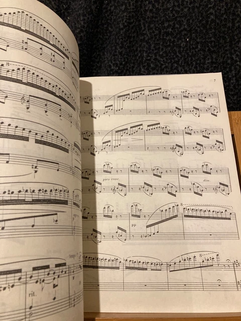 C. Saint-Saëns Allegro Appassionato opus 70 partition piano éditions Durand 2