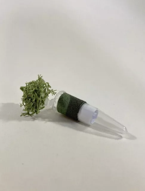 Disguised Moss Geocache Geocaching