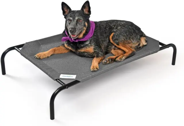 the Original Cooling Elevated Dog Bed, Indoor and Outdoor, Medium, Gunmetal ☑️