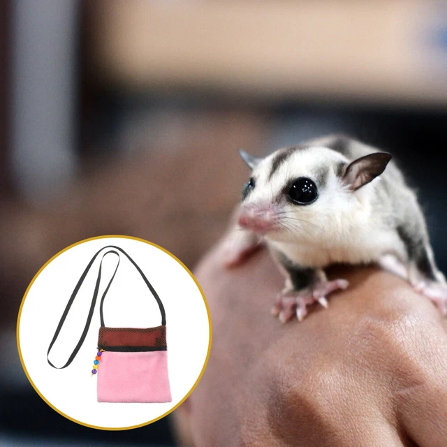 Borsa per criceti, borsa da viaggio portatile per ratti, borsa per alianti di zucchero,